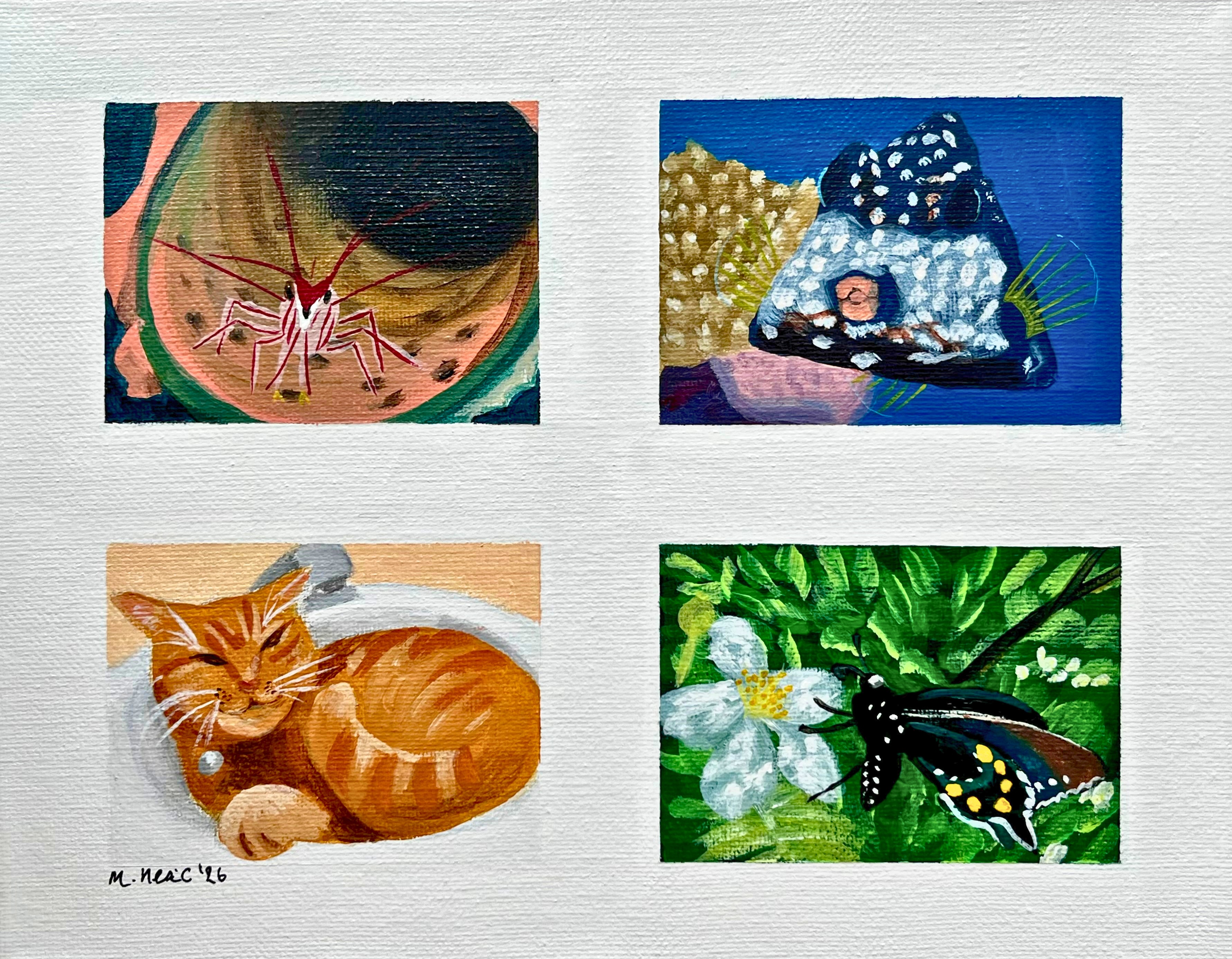 Photography Study