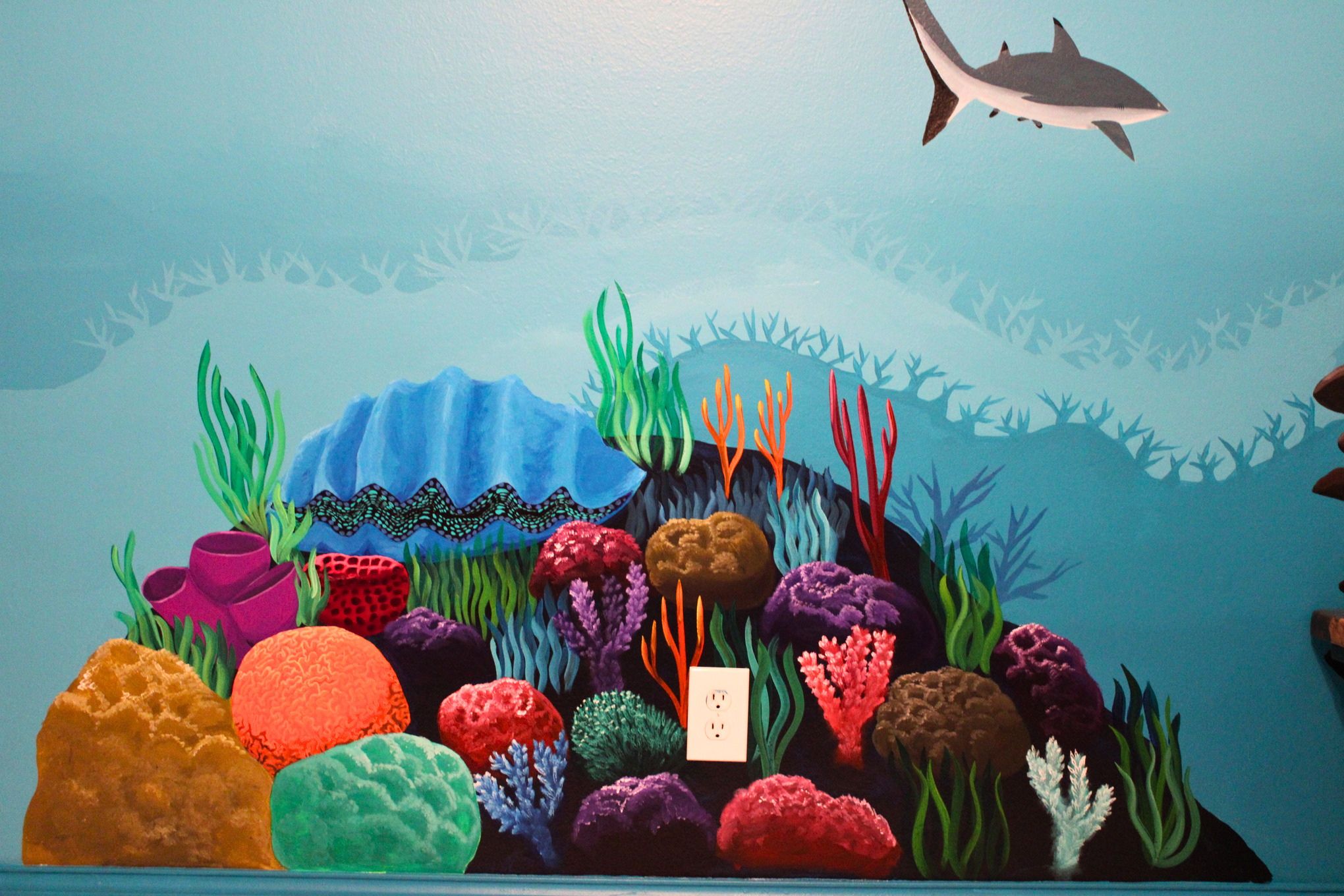 Details of corals, sponges, seagrass, and giant clam