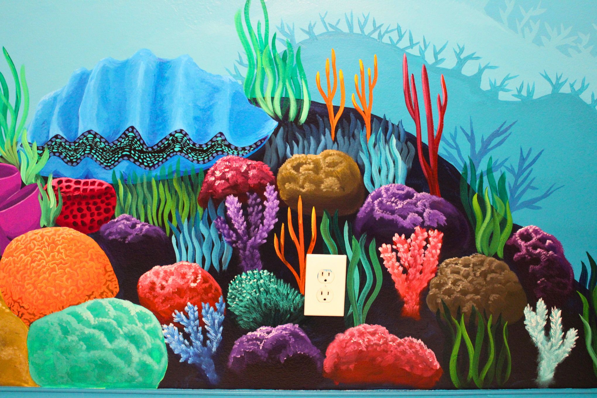Details of corals, sponges, seagrass, and giant clam