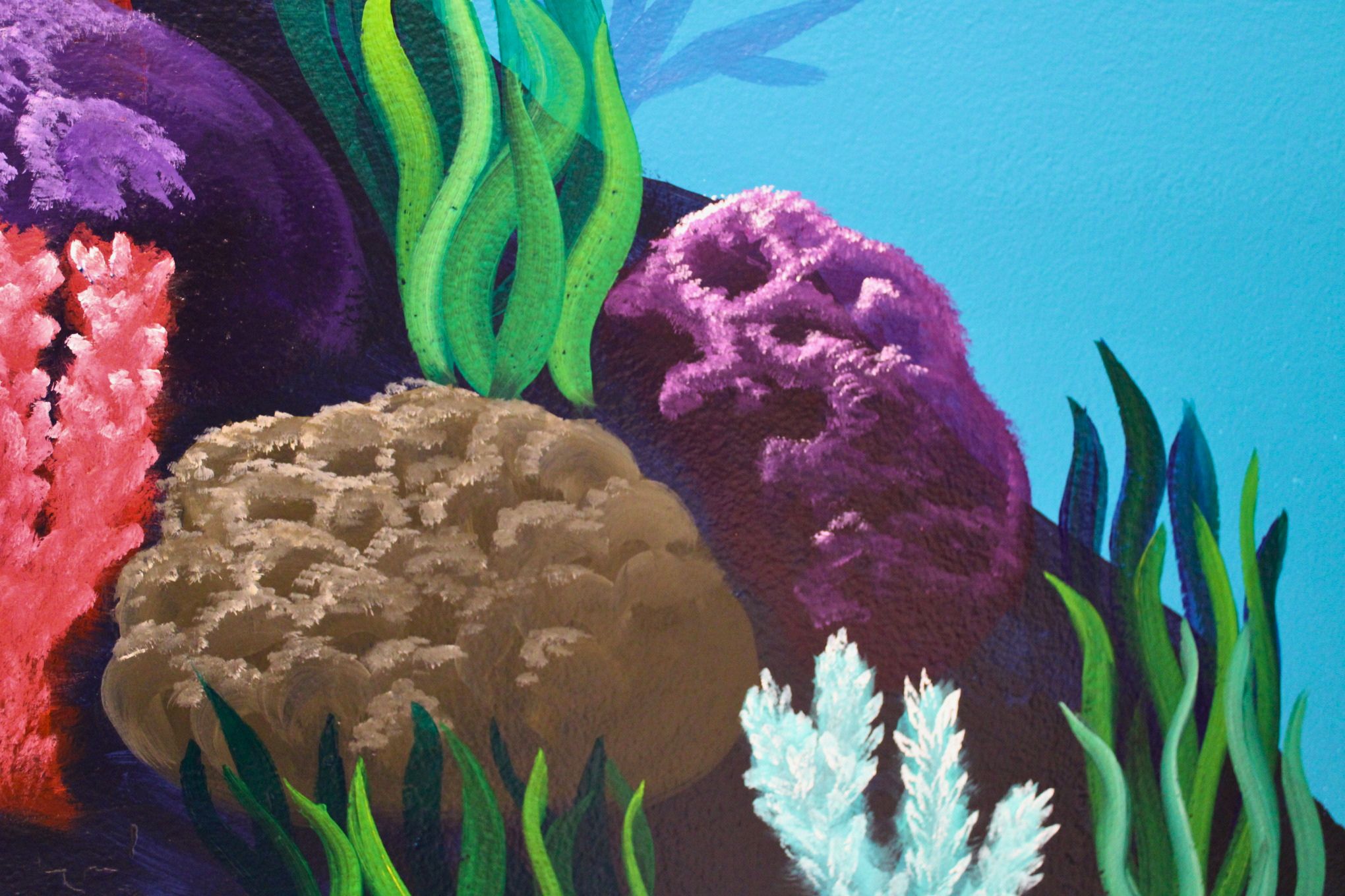 Close-up detail of coral texture on a residential mural