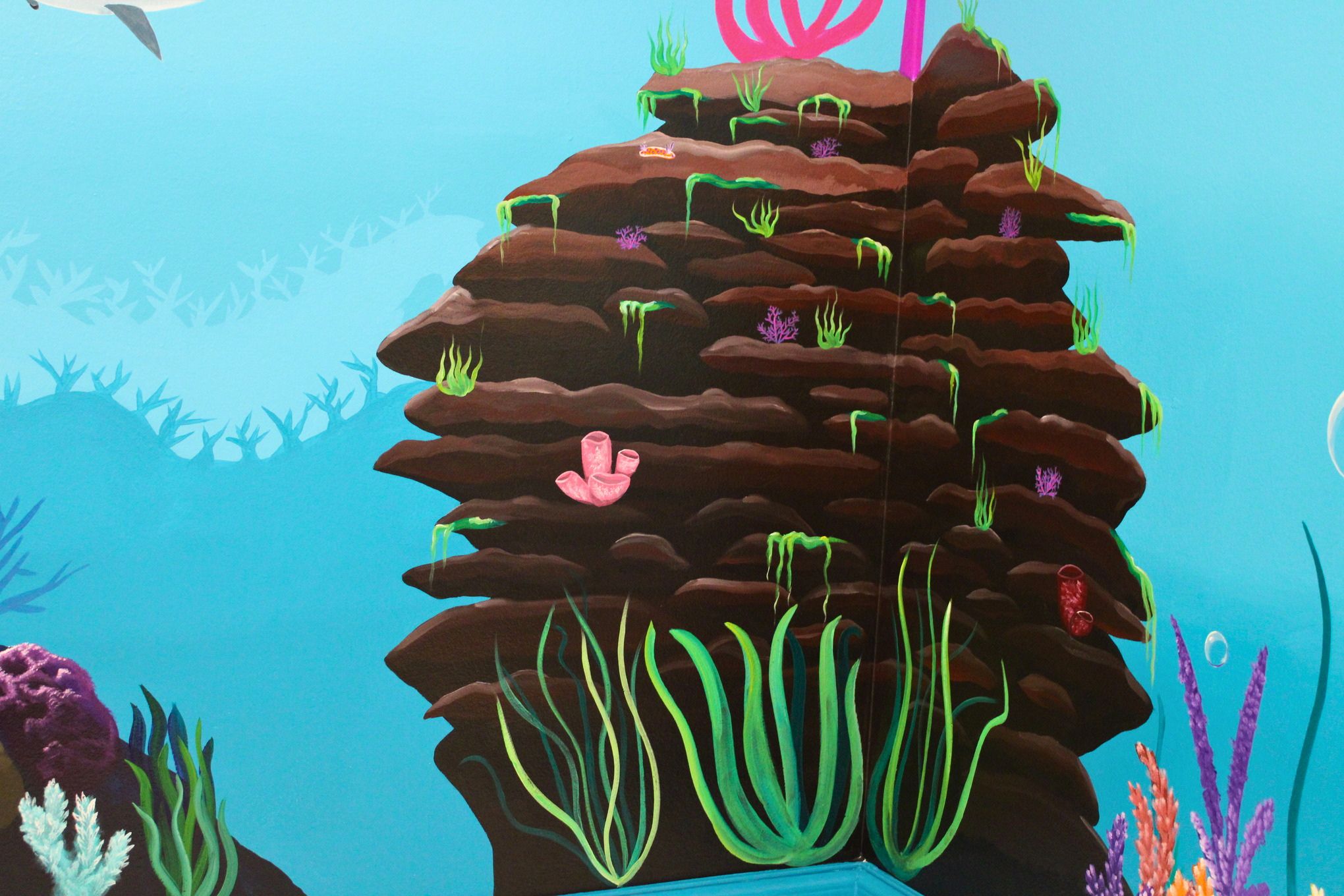 Rock formation with algae, seagrass, and sponges