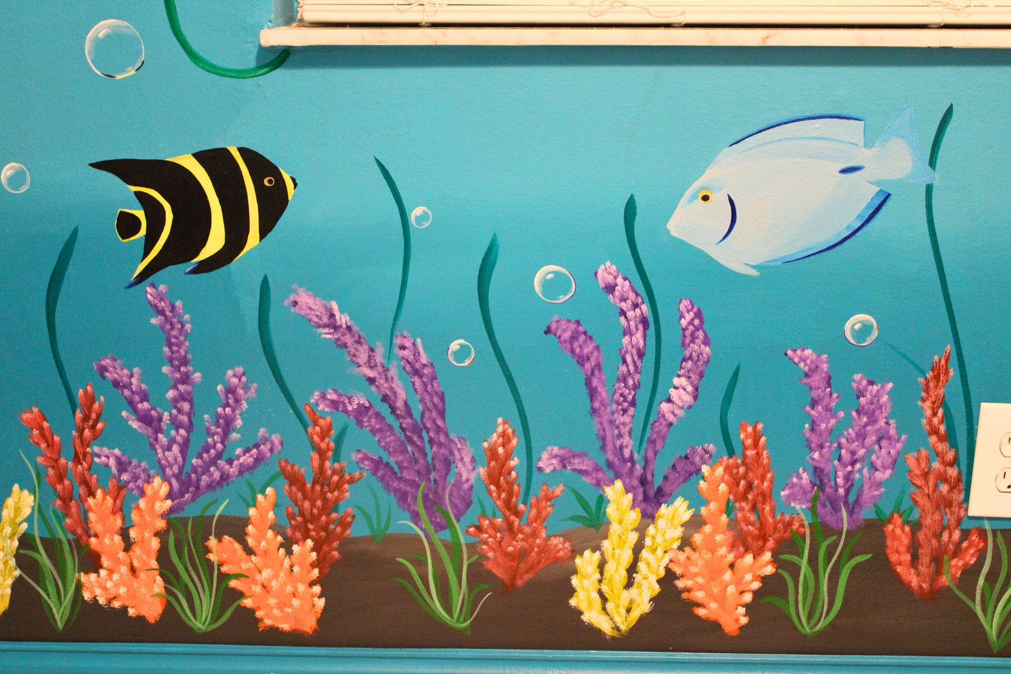 French angelfish and Surgeonfish among corals, bubbles, and seagrass