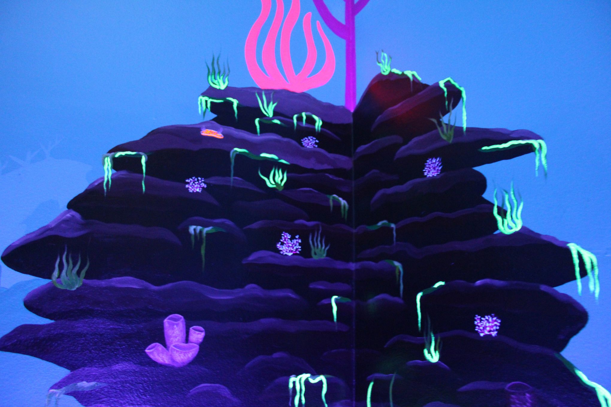 Rock formation with algae, seagrass, and sponges with fluorescent paint details